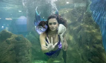 Aquário de Paranaguá terá novos animais e atrações especiais para a temporada