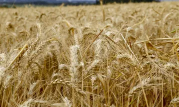 Agro do Paraná deve superar R$ 200 bilhões em valor de produção em 2025