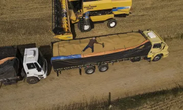 Paraná lidera aumento na produção de grãos em novembro, diz IBGE