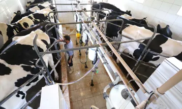 Paraná proíbe reconstituição de leite em pó importado para consumo humano