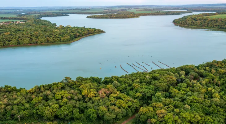 Senado do Paraguai aprova lei para cultivo de tilápia no reservatório da Itaipu