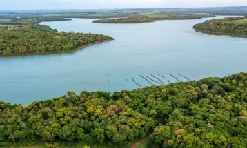 Senado do Paraguai aprova lei para cultivo de tilápia no reservatório da Itaipu