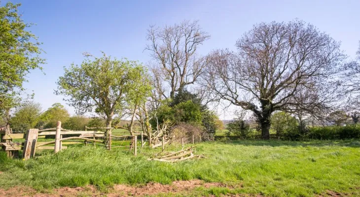 Justiça confirma fraude em venda de imóveis