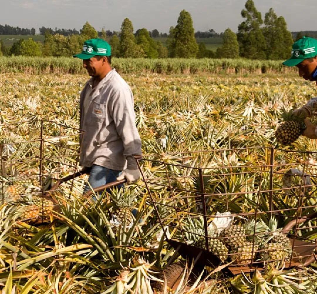 Fim da escala 6x1 avança no Congresso e divide opiniões entre trabalhadores e setor produtivo