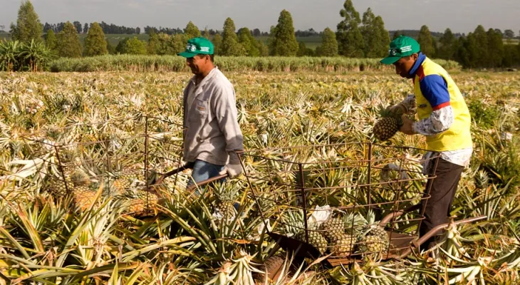 Fim da escala 6x1 avança no Congresso e divide opiniões entre trabalhadores e setor produtivo