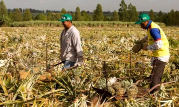 Fim da escala 6x1 avança no Congresso e divide opiniões entre trabalhadores e setor produtivo