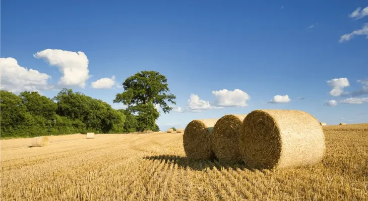 Justiça suspende cobrança de dívida rural e manda banco devolver R$ 47 mil a produtor