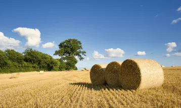 Justiça suspende cobrança de dívida rural e manda banco devolver R$ 47 mil a produtor