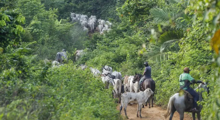 Vaqueiro contratado pelo Ibama é morto em terra indígena no Pará