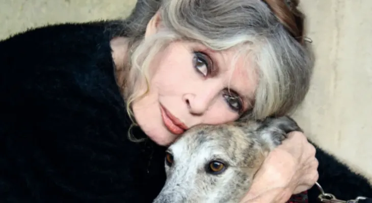 Morre a atriz Brigitte Bardot, musa do cinema francês