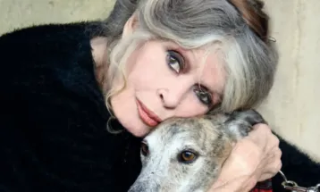 Morre a atriz Brigitte Bardot, musa do cinema francês