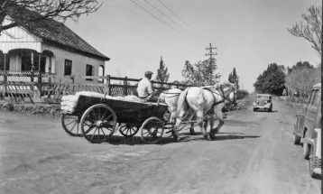 Saudade não tem idade: Carambeí - 1955