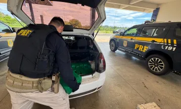 PRF prende casal transportando 131 kg de maconha em carro com criança e cachorro no Noroeste do Paraná