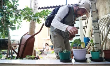 Saúde ultrapassa 400 mil vistorias em 2025 e pede atenção semanal contra o Aedes aegypti