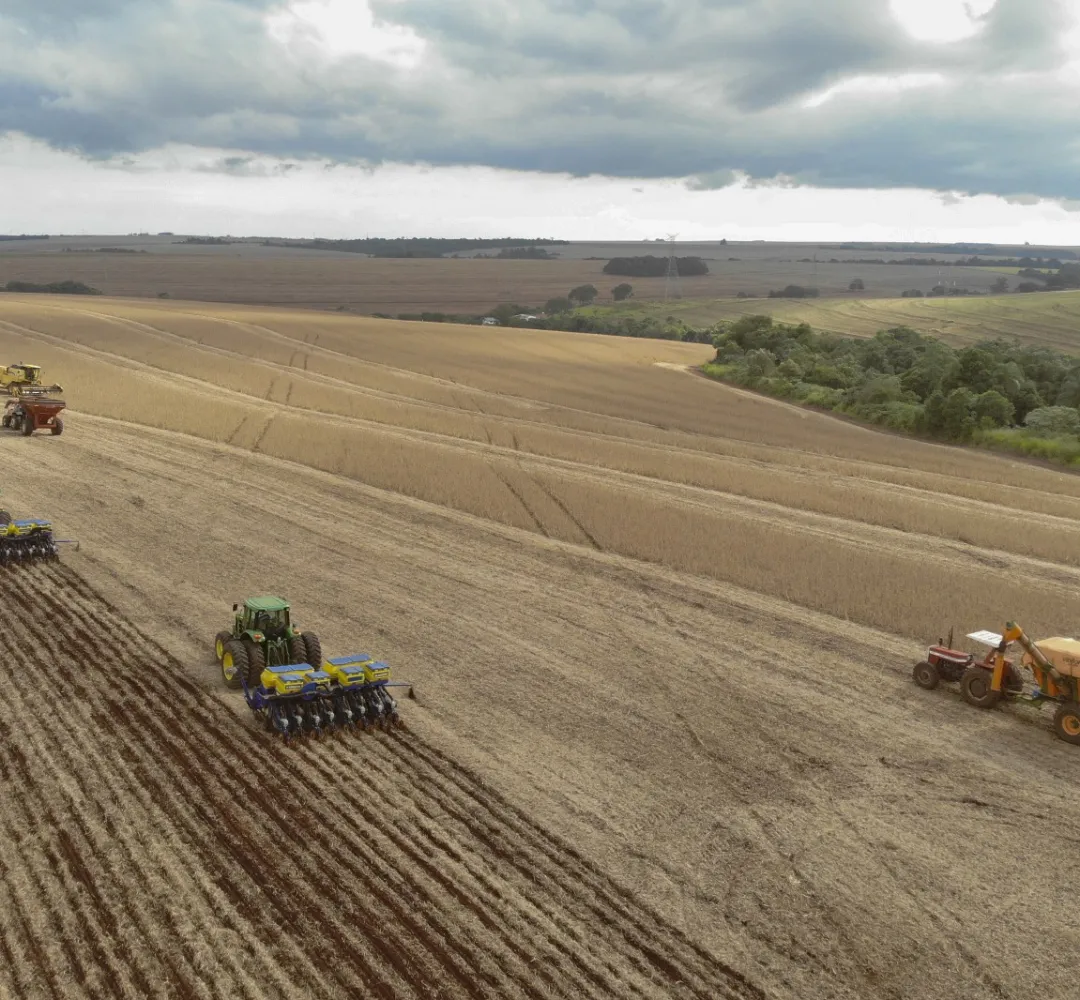 Soja começa a ser plantada no Paraná sob ameaça de El Niño muito forte