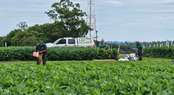 Coopavel acelera os preparativos do 38º Show Rural