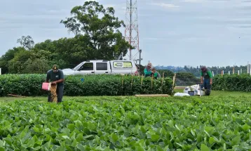 Coopavel acelera os preparativos do 38º Show Rural