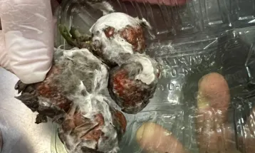 Operação Fermento interdita padaria de supermercado em Francisco Beltrão