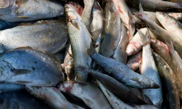 Justiça condena pesca ilegal e fixa indenização ambiental