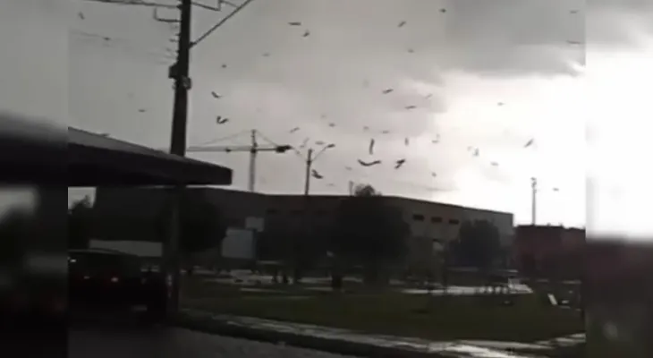 Tornado atinge São José dos Pinhais, confirma Simepar