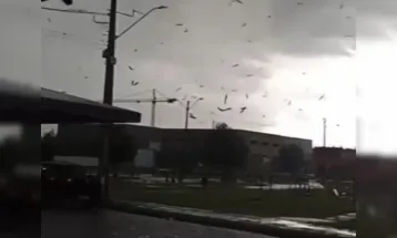 Tornado atinge São José dos Pinhais, confirma Simepar