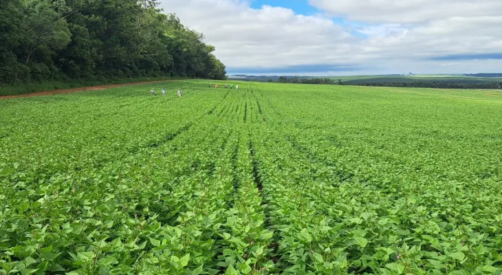 Agro do Paraná vai acessar 451 milhões de consumidores com acordo Mercosul–UE