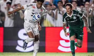 Verdão e Peixe fazem o primeiro grande clássico do Paulistão