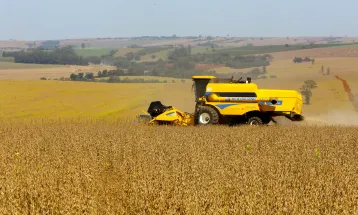 Safra de soja no Paraná se aproxima de recorde histórico, aponta Deral