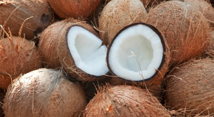 Coco: história, cultura e receitas tradicionais