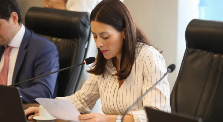 Deputada Mabel Canto cobra PRF e concessionária por medidas urgentes para reduzir acidentes na BR-376