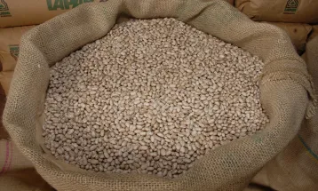 Preço do feijão reage no início do ano e muda o humor do produtor no Paraná