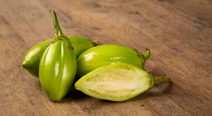 Jiló: o amargo que faz bem e conquista a cozinha brasileira