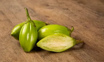 Jiló: o amargo que faz bem e conquista a cozinha brasileira