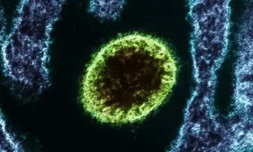 Vírus Nipah volta a acender alerta após novos casos confirmados na Índia