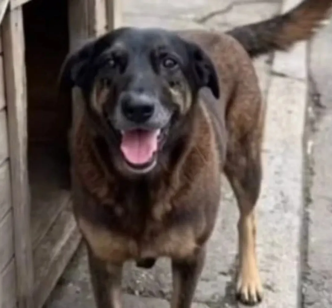 Caso Orelha: adolescentes retornam dos EUA e têm celulares apreendidos