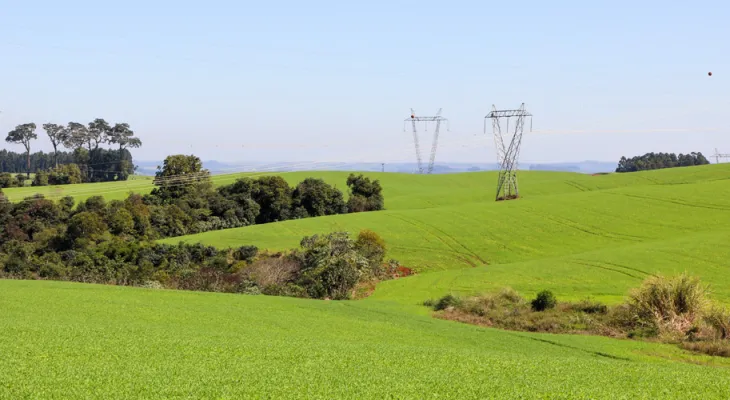 Lei que repassa limpeza da rede elétrica ao produtor é inadequada e gera insegurança no campo, afirma o Sistema FAEP