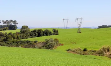 Lei que repassa limpeza da rede elétrica ao produtor é inadequada e gera insegurança no campo, afirma o Sistema FAEP