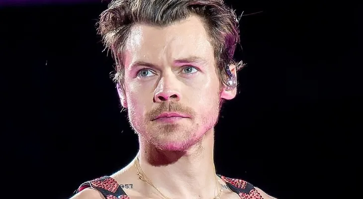 Deputados pedem investigação sobre venda de ingressos para shows de Harry Styles em São Paulo