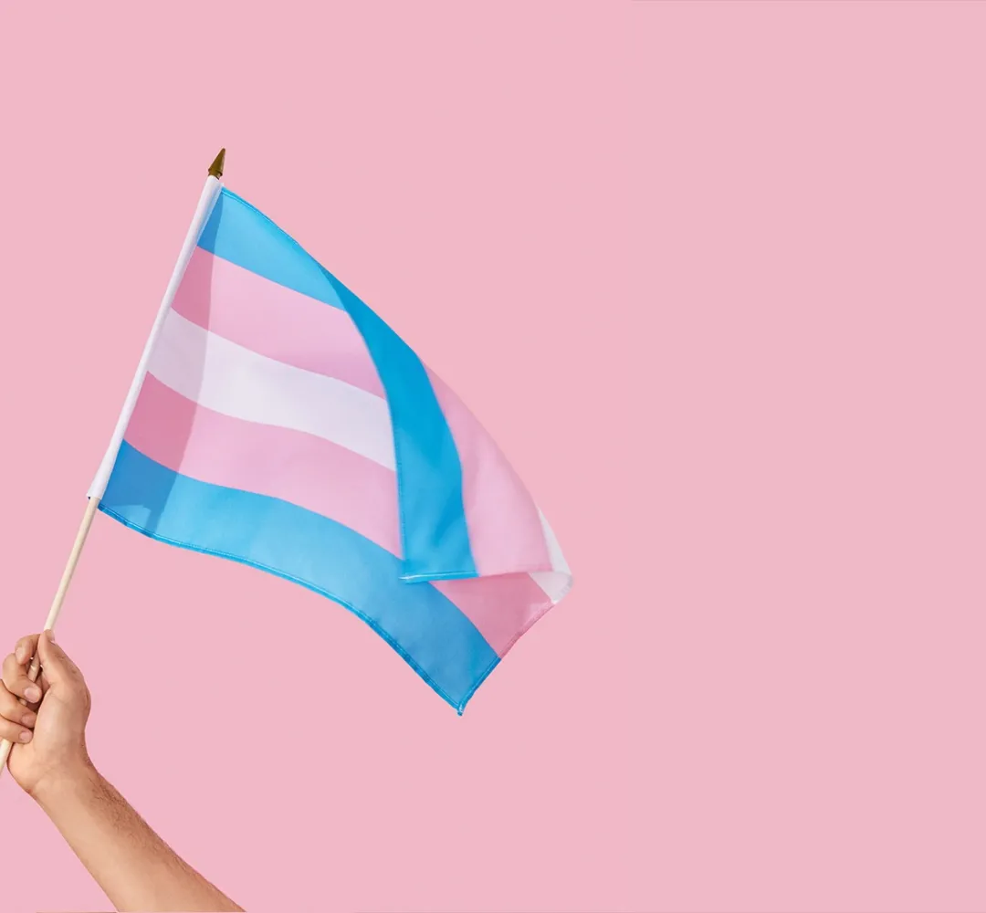 TRE-PR realiza evento “Visibilidade Trans 2026” nesta sexta-feira, em Curitiba