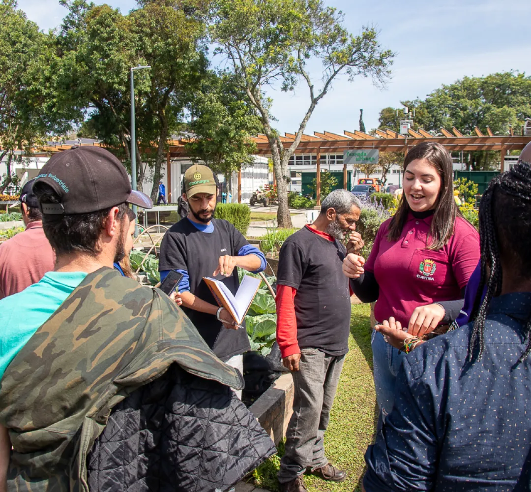 Fazendas Urbanas do Cajuru e da CIC ensinam tudo sobre plantio e colheita