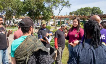 Fazendas Urbanas do Cajuru e da CIC ensinam tudo sobre plantio e colheita