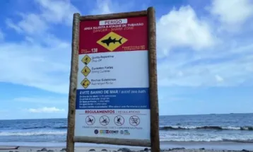 Adolescente morre após ataque de tubarão em Olinda