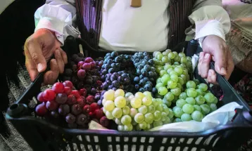 Colombo abre 59ª Festa da Uva nesta quinta-feira