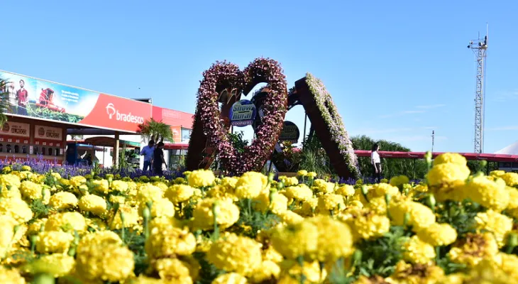 Autoridades  participam da abertura do Show Rural Coopavel em Cascavel