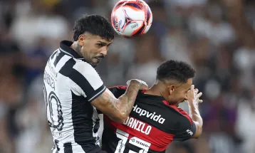 Carioca: Anselmi lamenta eliminação do Botafogo