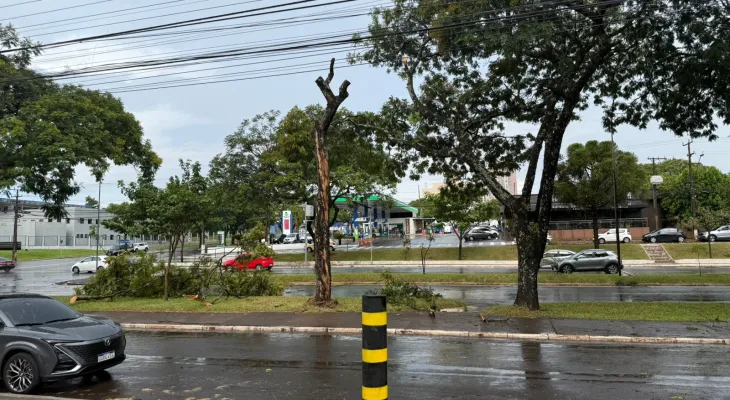 Chuva com ventos derruba galhos e árvores em Foz do Iguaçu