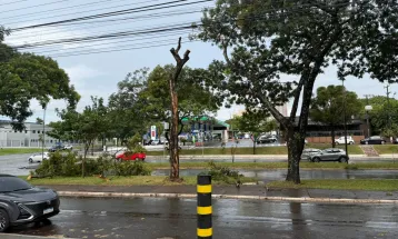 Chuva com ventos derruba galhos e árvores em Foz do Iguaçu