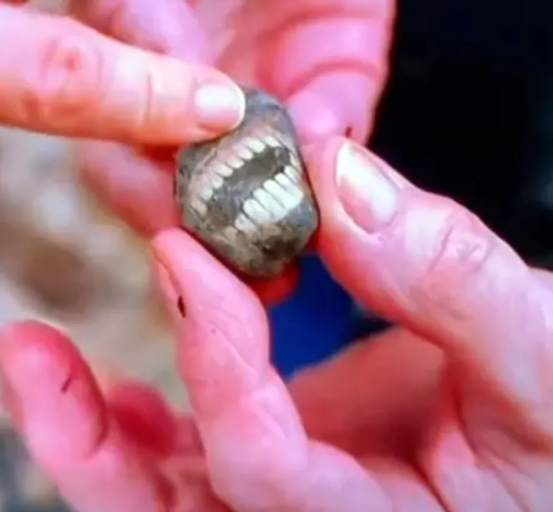 Turista encontra “pedra sorridente” com aparência de dentes em ilha do Reino Unido