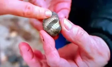 Turista encontra “pedra sorridente” com aparência de dentes em ilha do Reino Unido