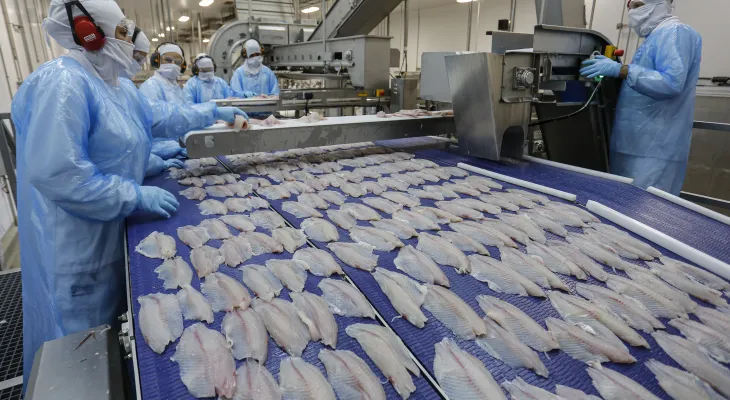 Tilápia fica mais barata na Quaresma e reforça liderança do Paraná na piscicultura